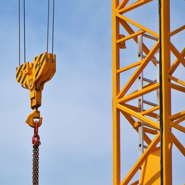 Grue sur fond bleu ciel