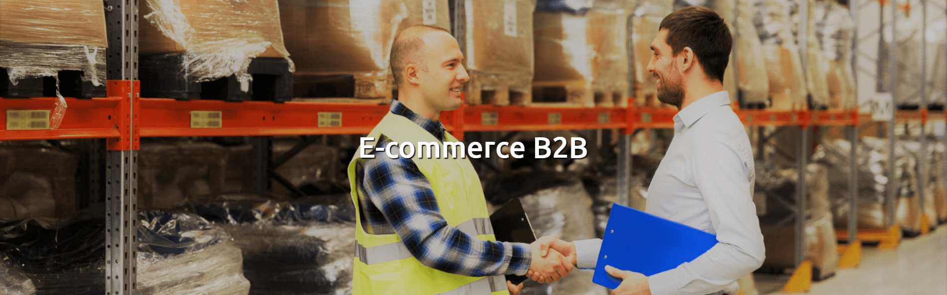 Ecommerce B to B